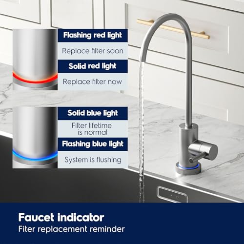 Eco 600GPD Tankless Reverse Osmosis System