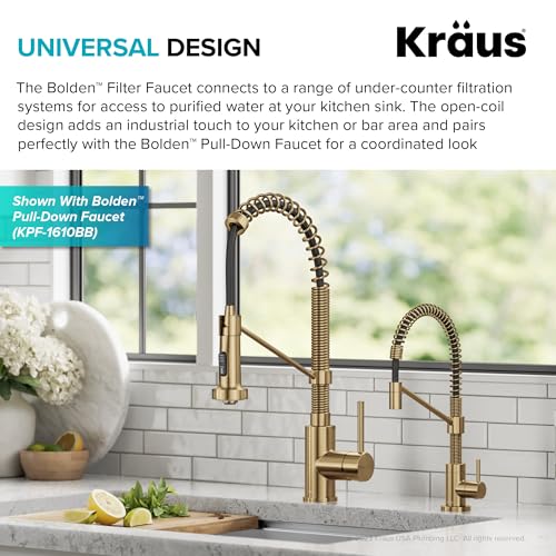 Bolden Single Handle Drinking Water Filter Faucet for Reverse Osmosis or Water Filtration System in Brushed Brass