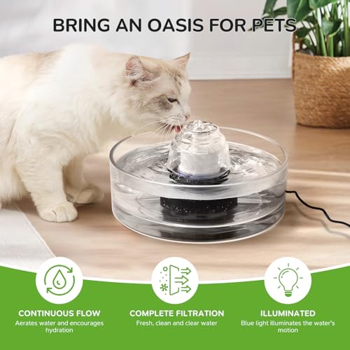 2.7L Glass Pet Fountain (92 Fl Oz)