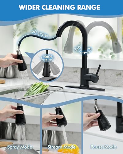 Kitchen Faucet with Pull Down Sprayer