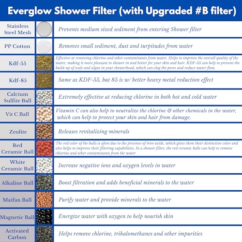High Output Shower Filter