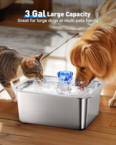 Stainless Steel Dog Water Fountain
