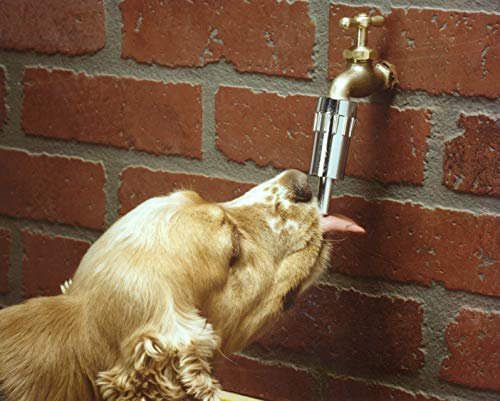 L100 Water Faucet Automatic Fountain for Dogs and Other Pets