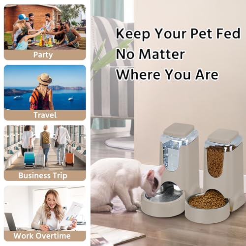 2 Pack Automatic Cat Feeder and Stainless Steel Water Dispenser