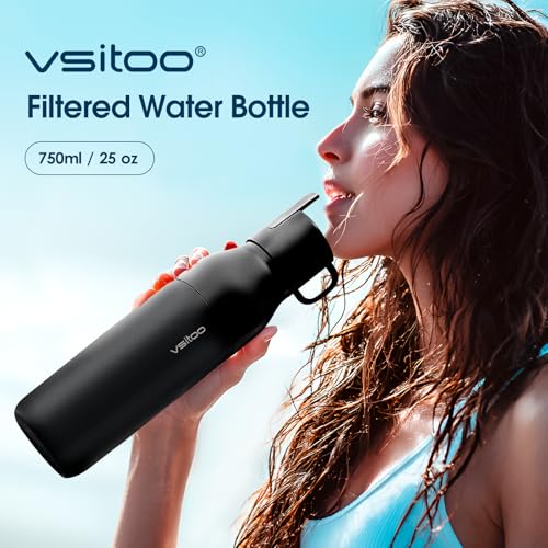 S2 25oz Insulated Stainless Steel Filtered Water Bottle with Straw