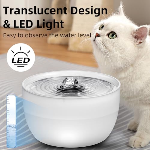 W8 Stainless Steel Dog & Cat Water Fountain with LED Light