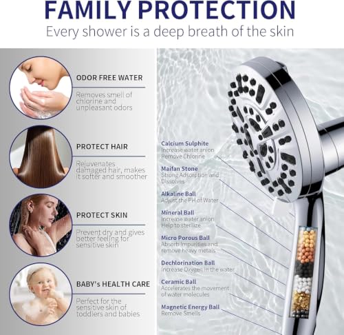 Filtered Shower Head with Handheld