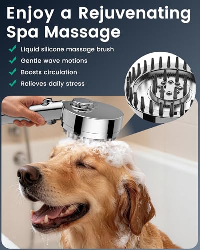 Filtered Shower Head with Handheld