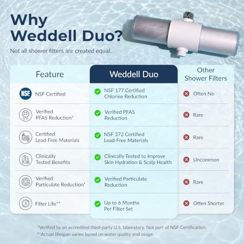Duo Shower Head Filter
