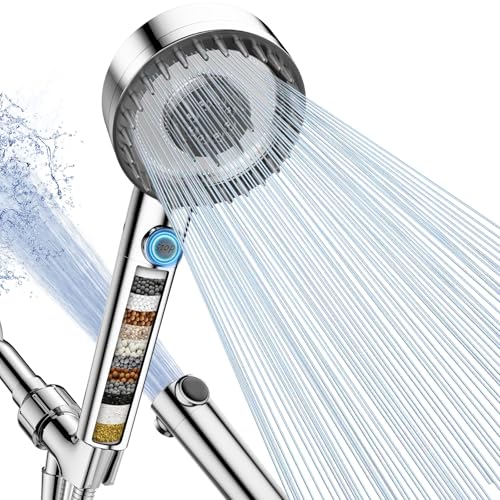 Filtered Shower Head with Handheld