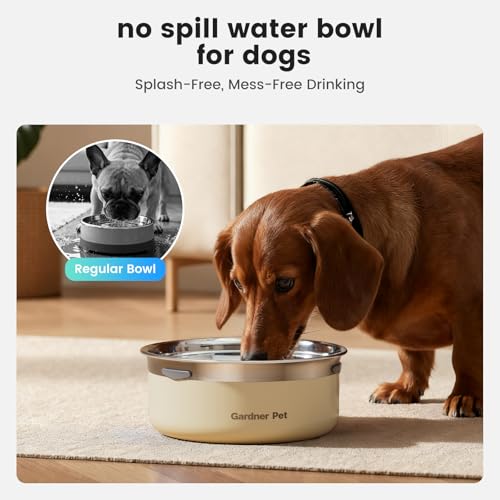 Slow Water Bowl for Dogs