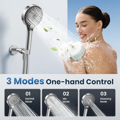 Filtered Shower Head with Handheld JOMST