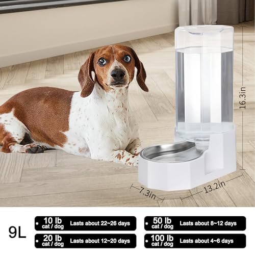 9L Large Dog Water Dispenser
