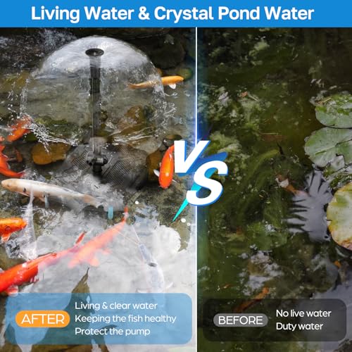 Pond Filter Built
