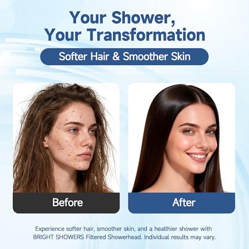 Filtered Shower Head with Handheld