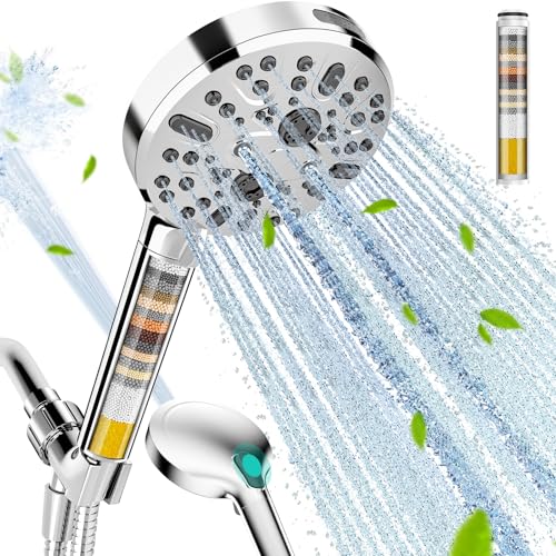 Filtered Shower Head with Handheld