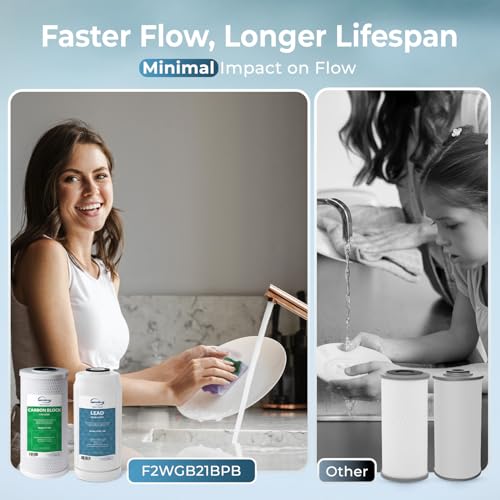 F2WGB21BPB 2 Stage Whole House Water Filter Set for WGB21B