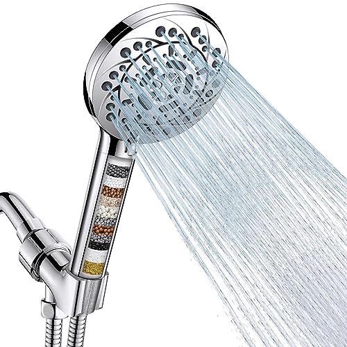 Filtered Shower Head with Handheld