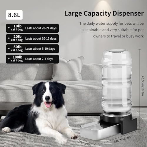 2.3 Gallon Dog Water Dispenser