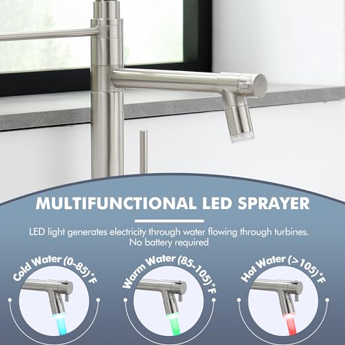 Dual Spout Kitchen Sink Faucet