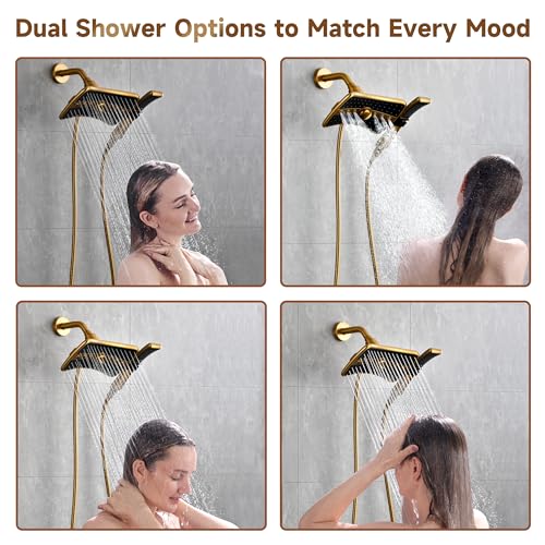 Dual Shower Head with Handheld