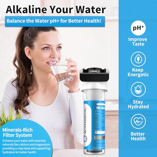 Water Filter for Sink with Faucet
