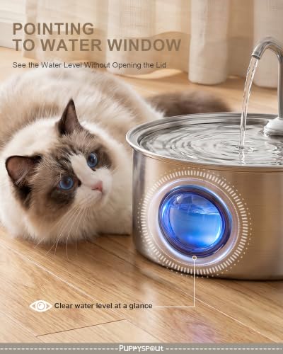 Cat Water Fountain Stainless Steel