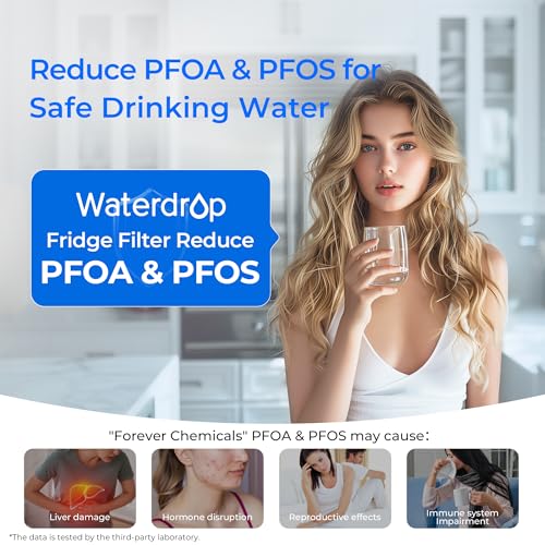 WD F19C Water Filter Replacement for GE® RPWFE®