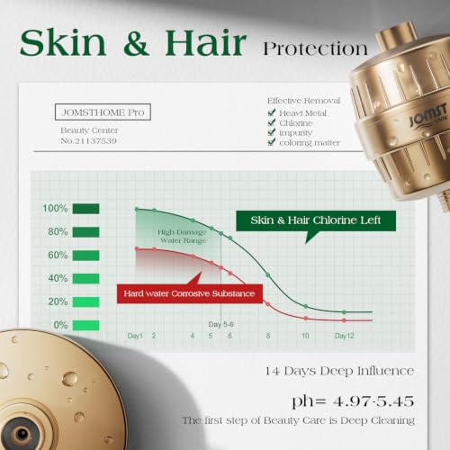 Filtered Shower Head COMBO
