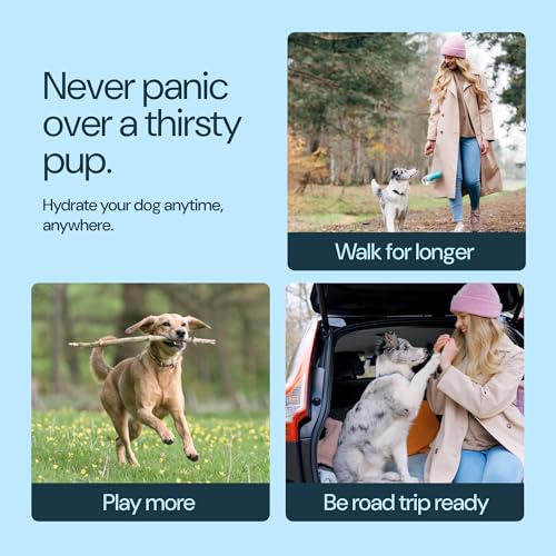 Insulated Dog Water Bottle