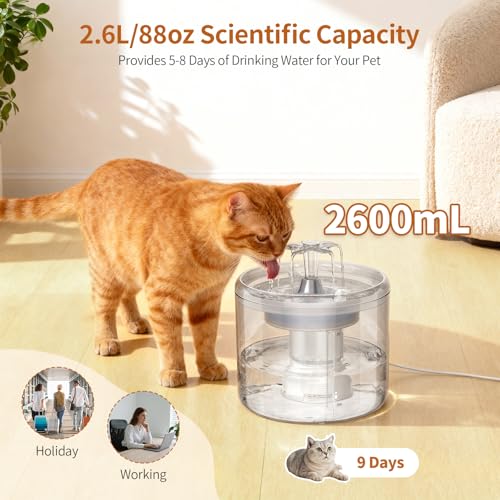 Cat Fountain 2.6l (87 Fl Oz)