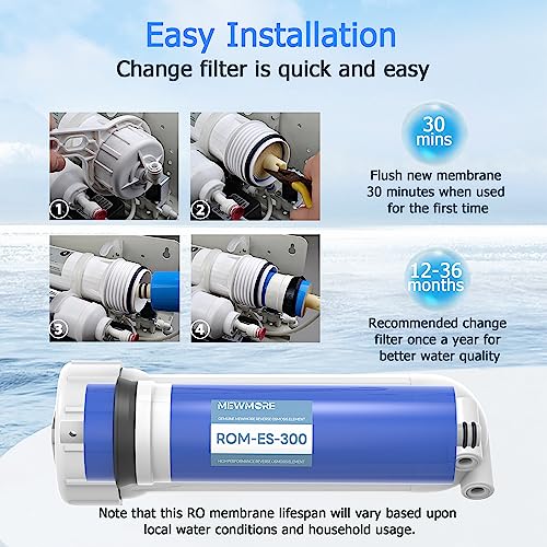 300 GPD RO Membrane Filter with Housing