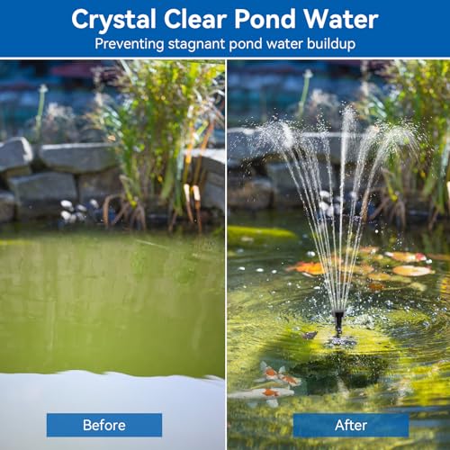 40W Solar Pond Pump with Filter Kit