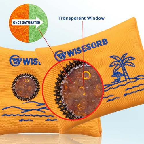 100g x 10 Pack Reusable Desiccant Packs for Storage (10 Packets)