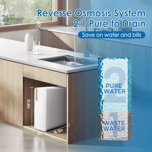 Reverse Osmosis System