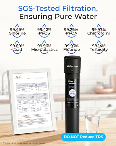15UB Under Sink Water Filter System with Dedicated Faucet (730 day)
