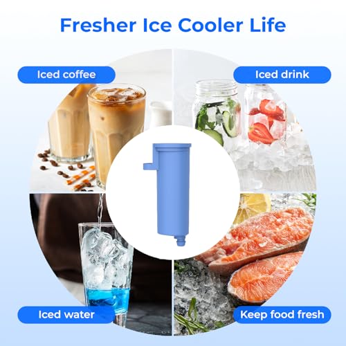 C33 AS Water Filter Compatible with GE® Opal Ice Maker (3 Count)