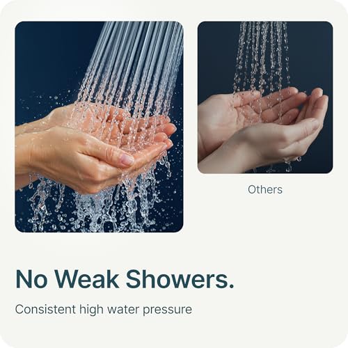 Handheld Filtered Shower Head