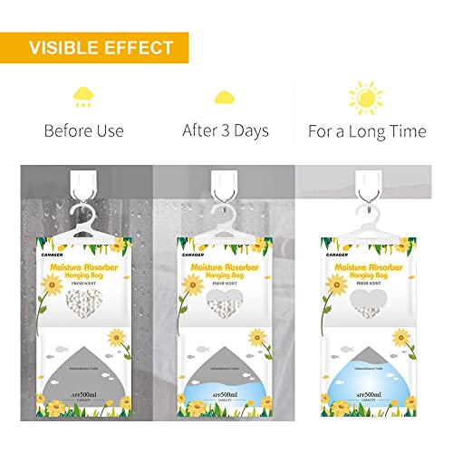 Moisture Absorber (12 Count)