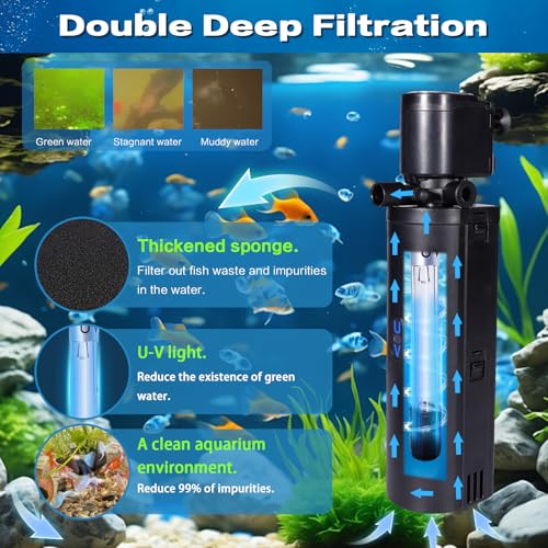 Dual Chamber U