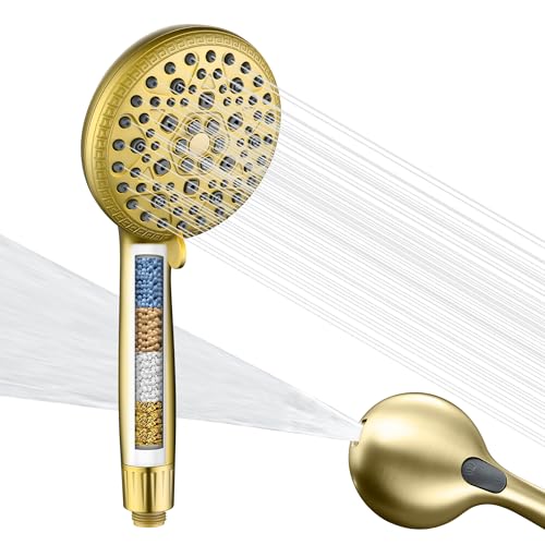 Filtered Handheld Shower Head for Hard Water