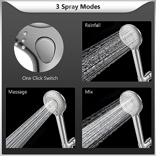 Filtered Shower Head with Handheld