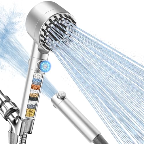 Filtered Shower Head with Handheld