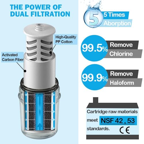 Shower Filter System