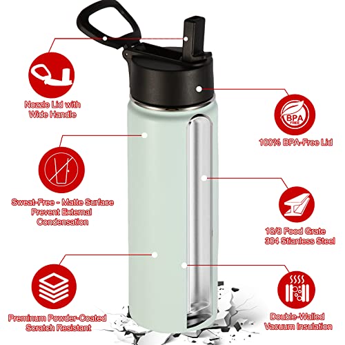 22 oz Insulated Water Bottles with Straw Lid