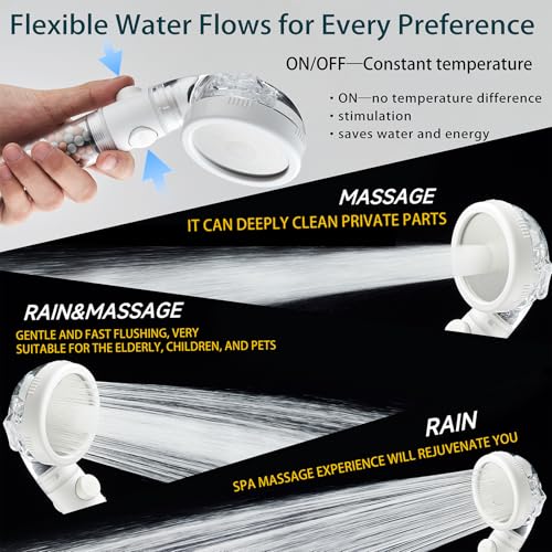Filtered Shower Head with Handheld