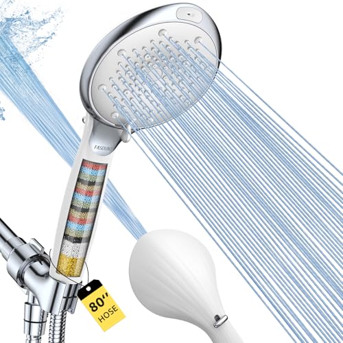 Filtered Shower Head with Handheld