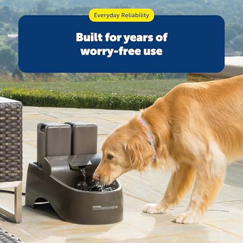 Drinkwell Outdoor Dog Water Fountain