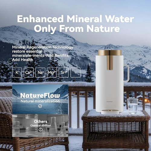 F40SE Reverse Osmosis Water Filter Countertop