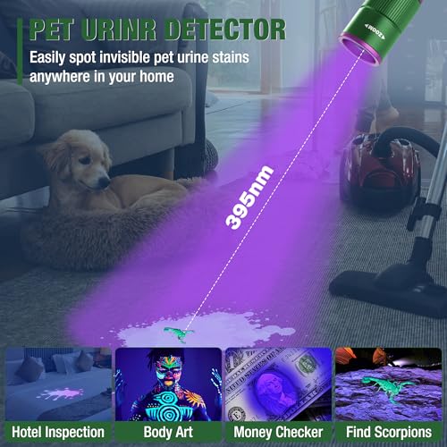 Rechargeable Pen Flashlight with UV and White Light